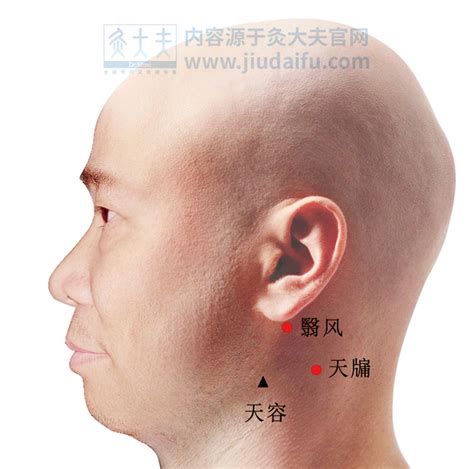 天竅穴位置|天牖穴可改善頭痛暈,目痛耳聾面腫,淋巴結腫大